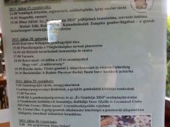 A XV. Zempléni Gombafesztivál programja