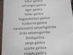 Ebből szavaztuk meg a továbbjutó 6 fajt