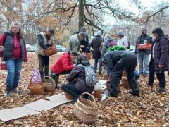 2025.11.08 - Tanfolyami terepgyakorlat Ortás-rét felé