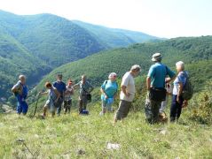 Rendeződnek a sorok