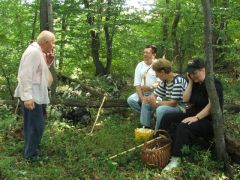 Félúton a Gulicska-tető felé