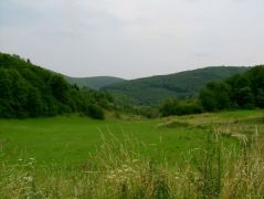 A Panzió mögött