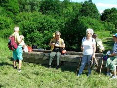 Pihegő