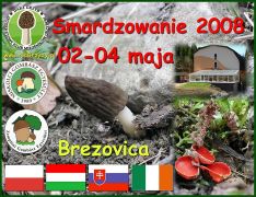 A rendezvény plakátja