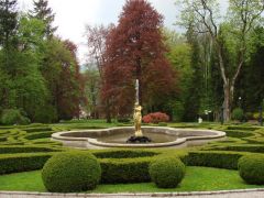 A park, minden fotós témája