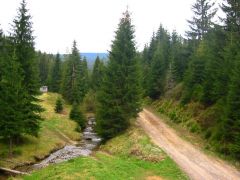 Kilátás a faházból