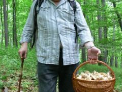 Tibor az elején gyűjtött, utána cipelt