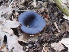 Fotó: Szilvásy Edit