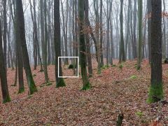 Élőhely tágabb környezete