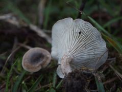 MMT tanulmányi kirándulás