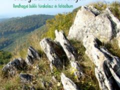 kollat_terv.cdr