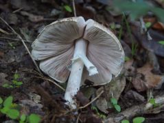 MMT tanulmányi kirándulás