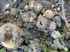 2012.10.20 Miskolc, Martin-kertváros