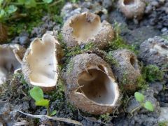 2012.10.20 Miskolc, Martin-kertváros