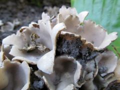 2012.10.20 Miskolc, Martin-kertváros