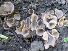 2012.10.20 Miskolc, Martin-kertváros