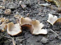 2012.10.20 Miskolc, Martin-kertváros