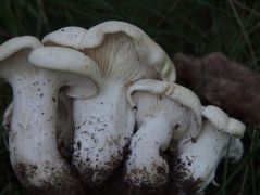 MMT tanulmányi kirándulás