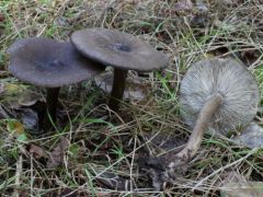 MMT tanulmányi kiránduláson