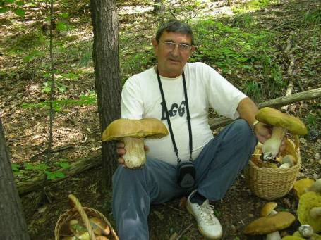 Óriásgombák 1